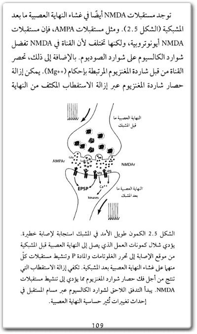 كتاب الدماغ والألم نقلة نوعية في علم الأعصاب - تأليف ريتشارد أمبرون  (3)