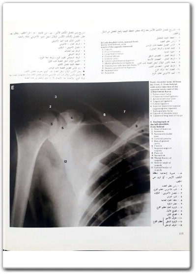 كتاب أطلس ملون لتشريح جسم الإنسان A Colour Atlas of Human Anatomy - تأليف ر. م. ه. ماكمين (1)