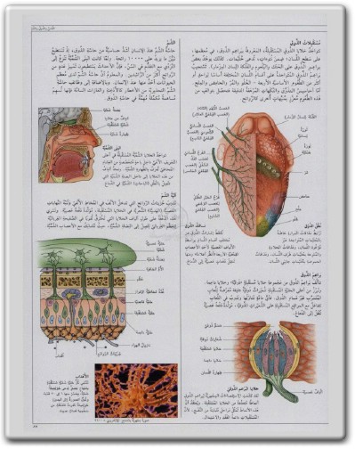 كتاب موسوعة جسم الإنسان الشاملة - تأليف أحمد شفيق الخطيب (2)