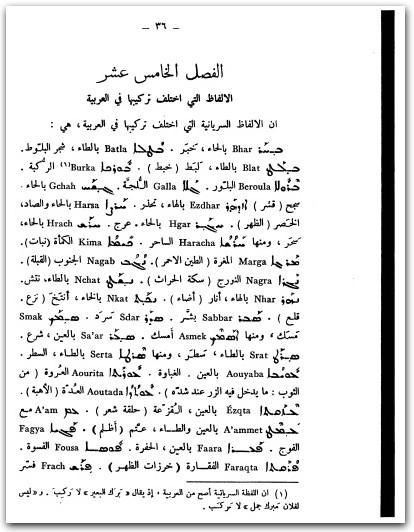 اغناطيوس يعقوب الثالث ..البراهين الحسية على تقارض السريانية والعربية المكتبة نت (3)