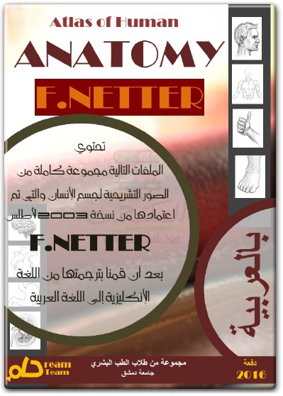 كتاب أطلس تشريح الإنسان تشريح الرأس والعنق PDF تأليف فرانك ه. نيتر (2)