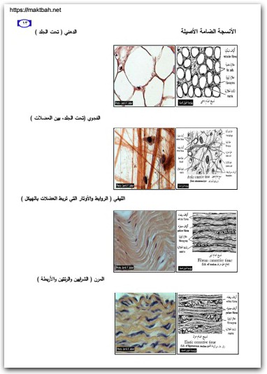كتاب دليل الطالب للشرائح والعينات في علم الأحياء الجزء 1 الحيوان العام - تأليف جميل فوزي جميل جبر (1)