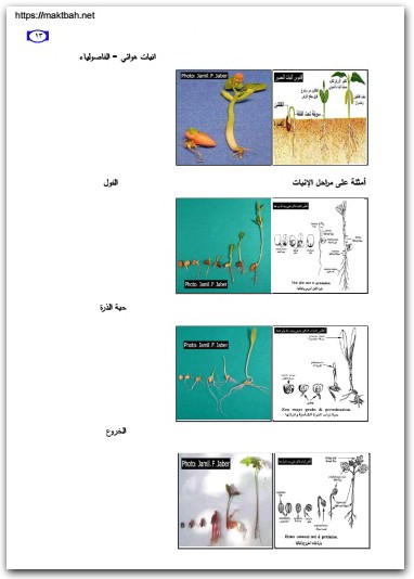 كتاب دليل الطالب للشرائح والعينات في علم الأحياء الجزء 2 النبات العام - تأليف جميل فوزي جميل جبر (2)