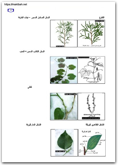 كتاب دليل الطالب للشرائح والعينات في علم الأحياء الجزء 2 النبات العام - تأليف جميل فوزي جميل جبر (3)