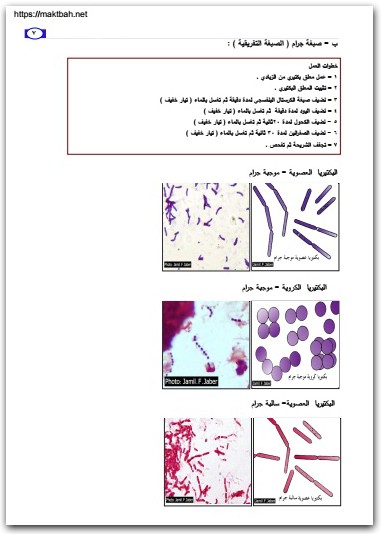 كتاب دليل الطالب للشرائح والعينات في علم الأحياء الجزء 4 الأحياء الدقيقة - تأليف جميل فوزي جميل جبر (3)
